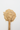 Wooden spoon with maca powder on a white background