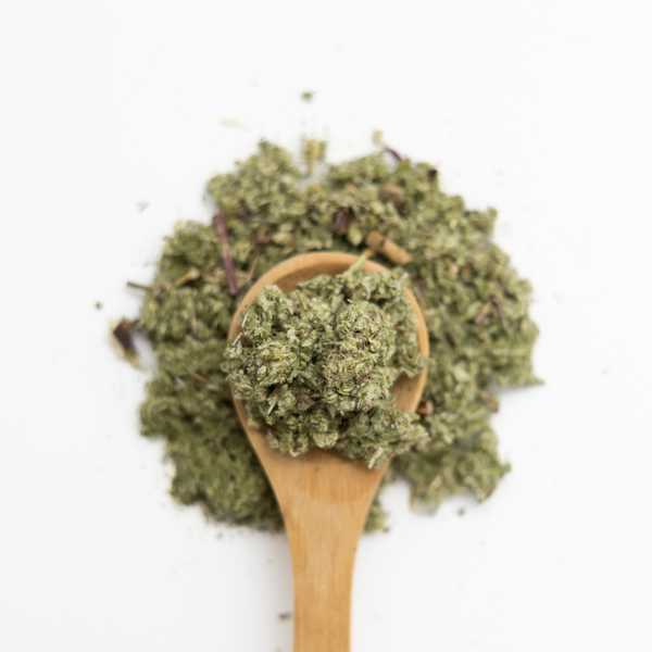 Wooden spoon filled with mugwort herbs on a white background