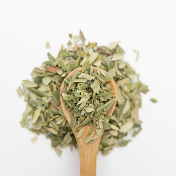 Olive Leaf herbs on a wooden spoon against a white background