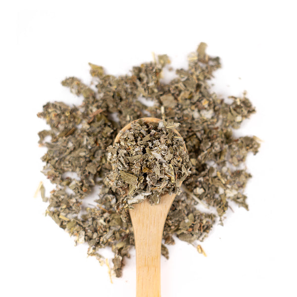 Wooden spoon of Organic Raspberry Leaf on a white background.