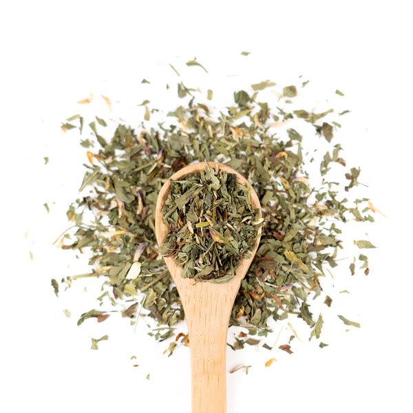 Wooden spoon of Organic Red Clover on a white background.