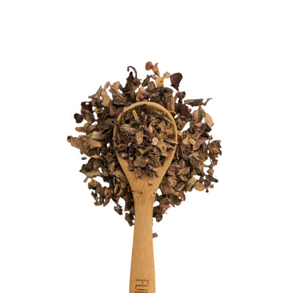 Wooden spoon filled with dried rhodiola on a white background