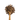 Wooden spoon filled with dried rhodiola on a white background