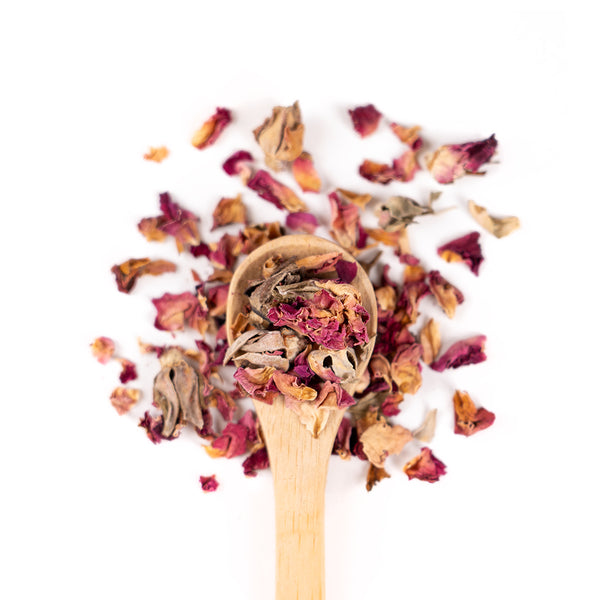 Wooden spoon of Organic Rose Petals on a white background.