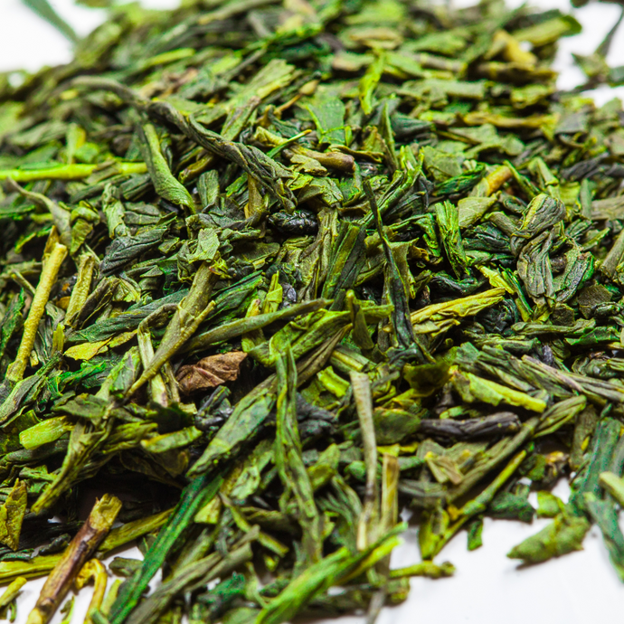 Close-up of sencha green tea leaves on a white background