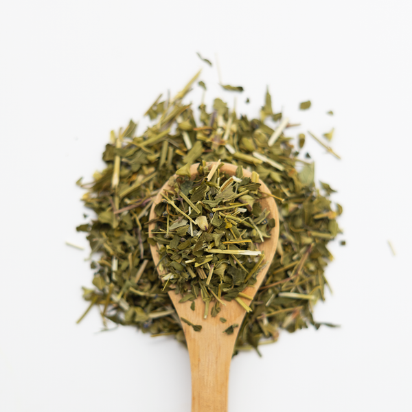 Wooden spoon filled with dried skullcap herbs on a white background
