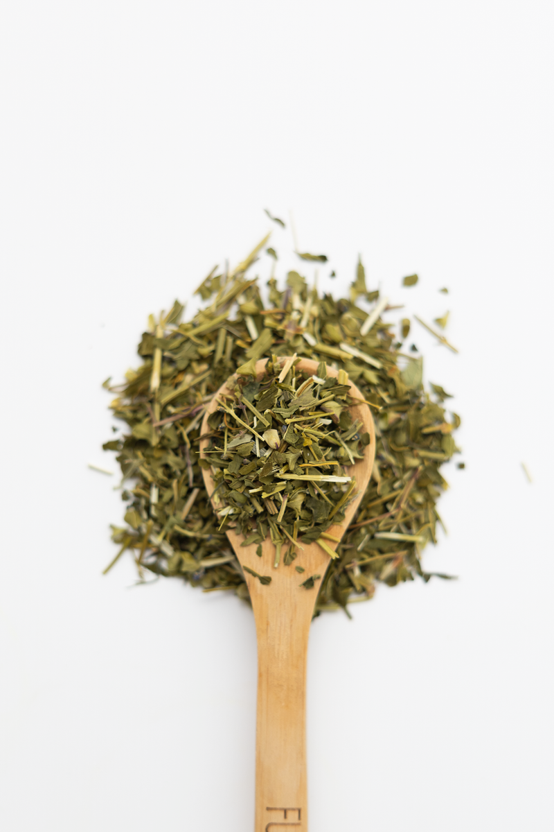 Wooden spoon filled with dried skullcap herbs on a white background