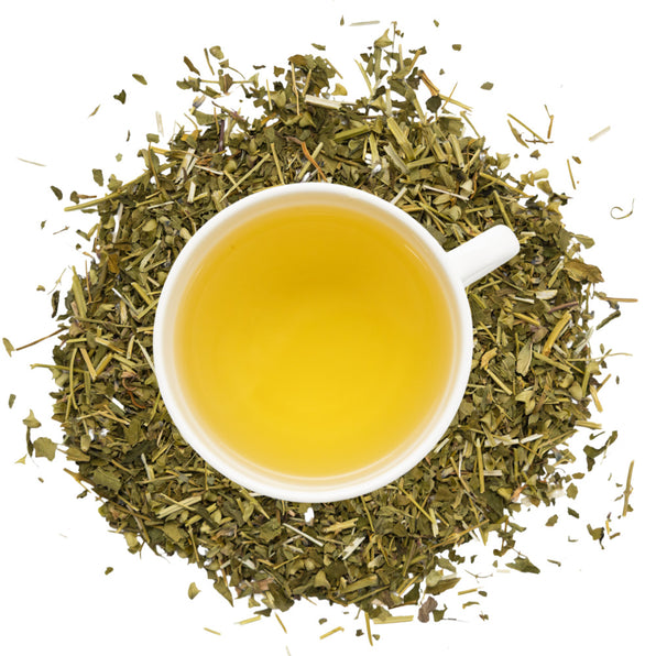 White cup of skullcap tea surrounded by dry skullcap leaves on a white background