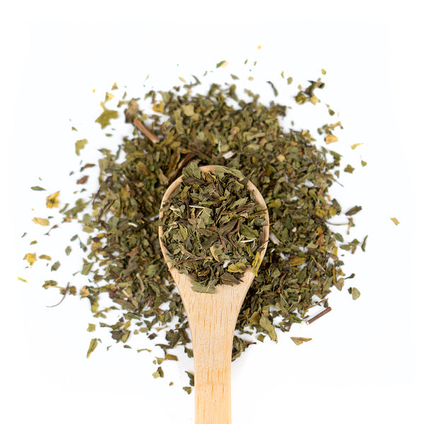 Wooden spoon of Organic Spearmint on a white background.