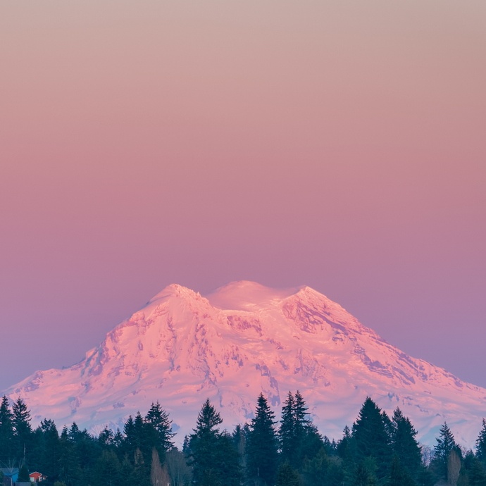 Snow-capped mountain peak with a pinkish hue against a purple sky, surrounded by trees.