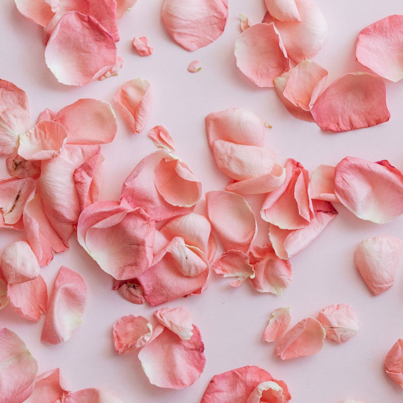 Scattered pink rose petals on a soft pink background creating a delicate, romantic texture.