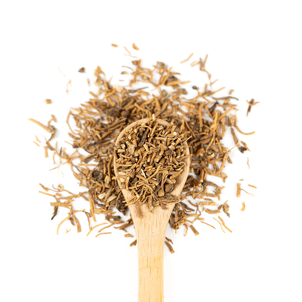 Wooden spoon of Valerian Root on a white background.