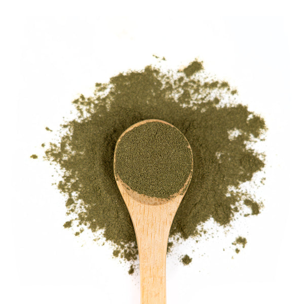 Wooden spoon of Organic Wheatgrass on a white background.