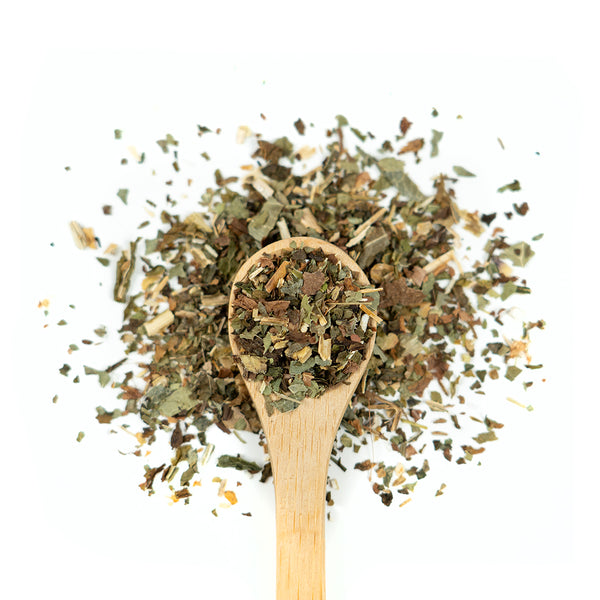 Wooden spoon of Organic Wild Lettuce on a white background.