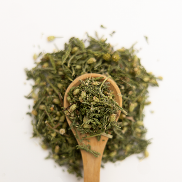 Wooden spoon with green yarrow herbs on a white background