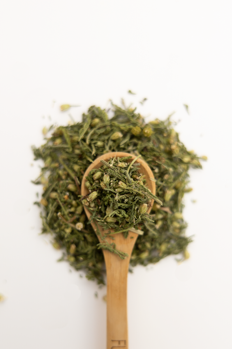 Wooden spoon with green yarrow herbs on a white background