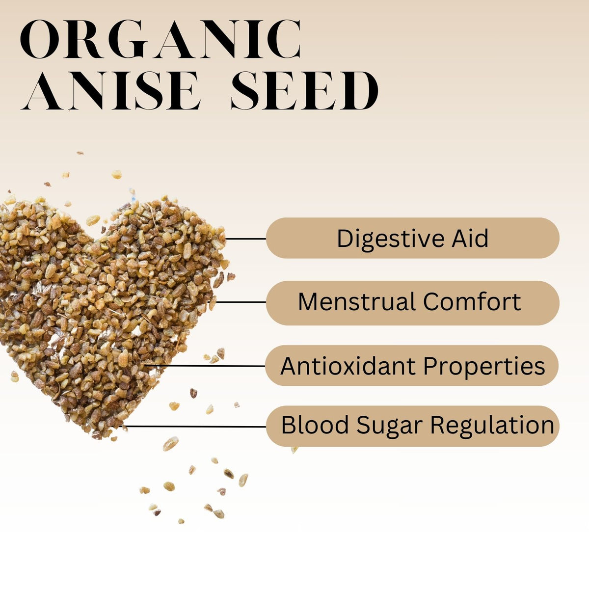Infographic showing the benefits of organic anise seed with a heart-shaped design made of anise seeds, highlighting digestive support, menstrual comfort, antioxidant properties, and blood sugar balance.