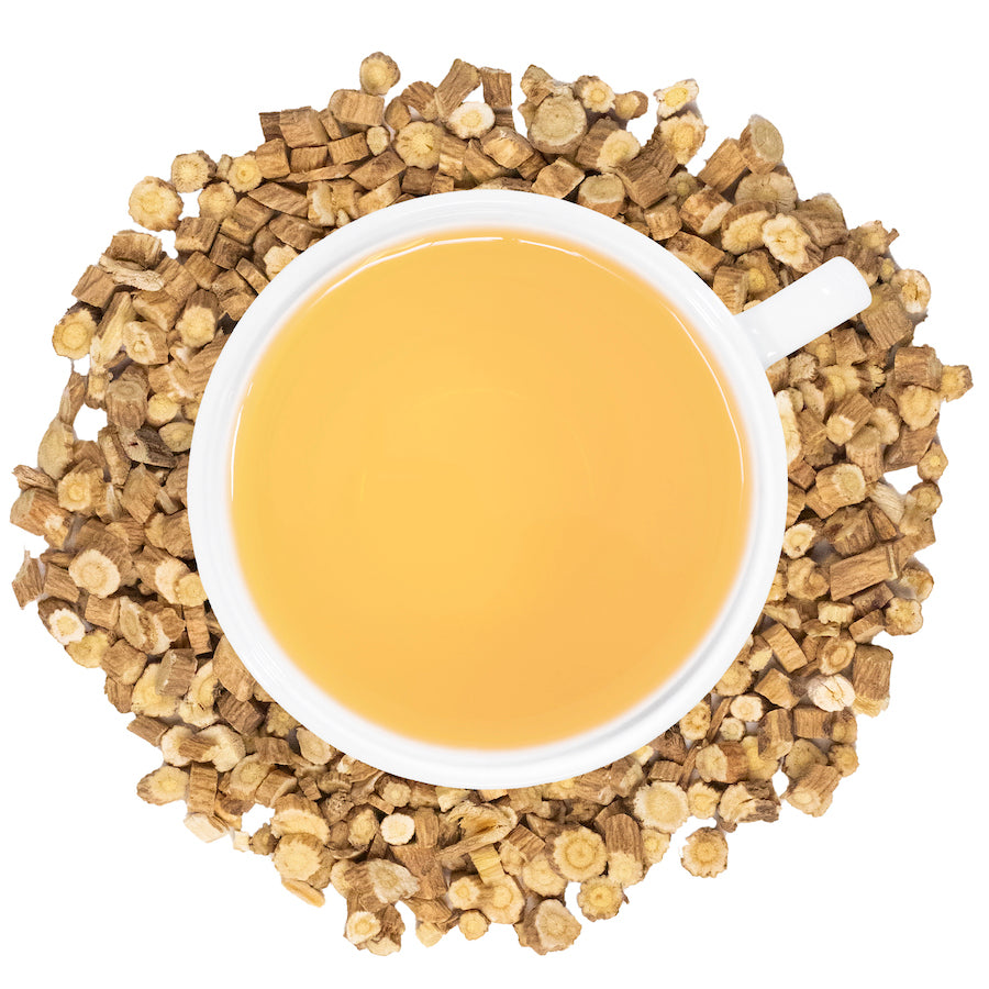 A white mug filled with astragalus tea surrounded by astragalus herbs