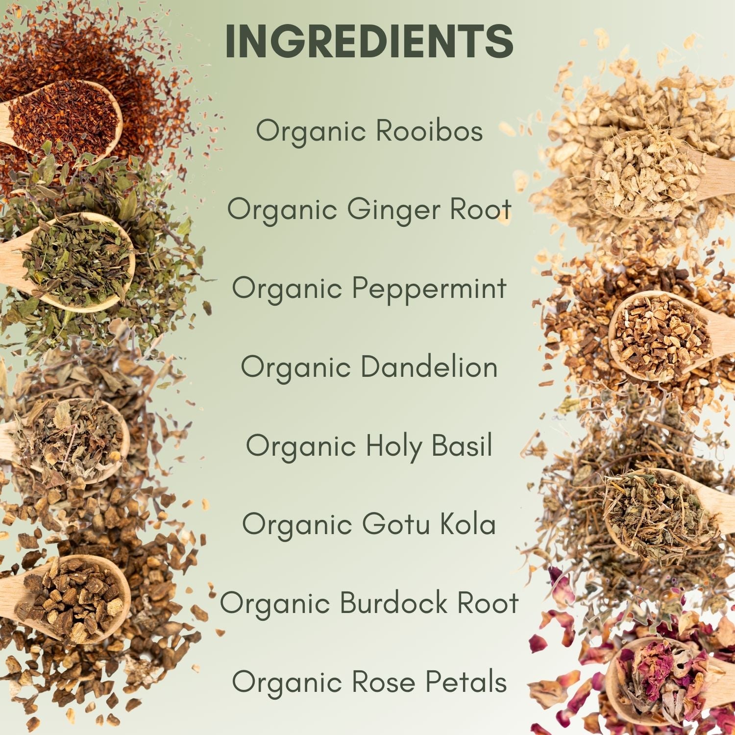 Buy Organic Loose Leaf Wellness Tea Blends – Full Leaf Tea Company