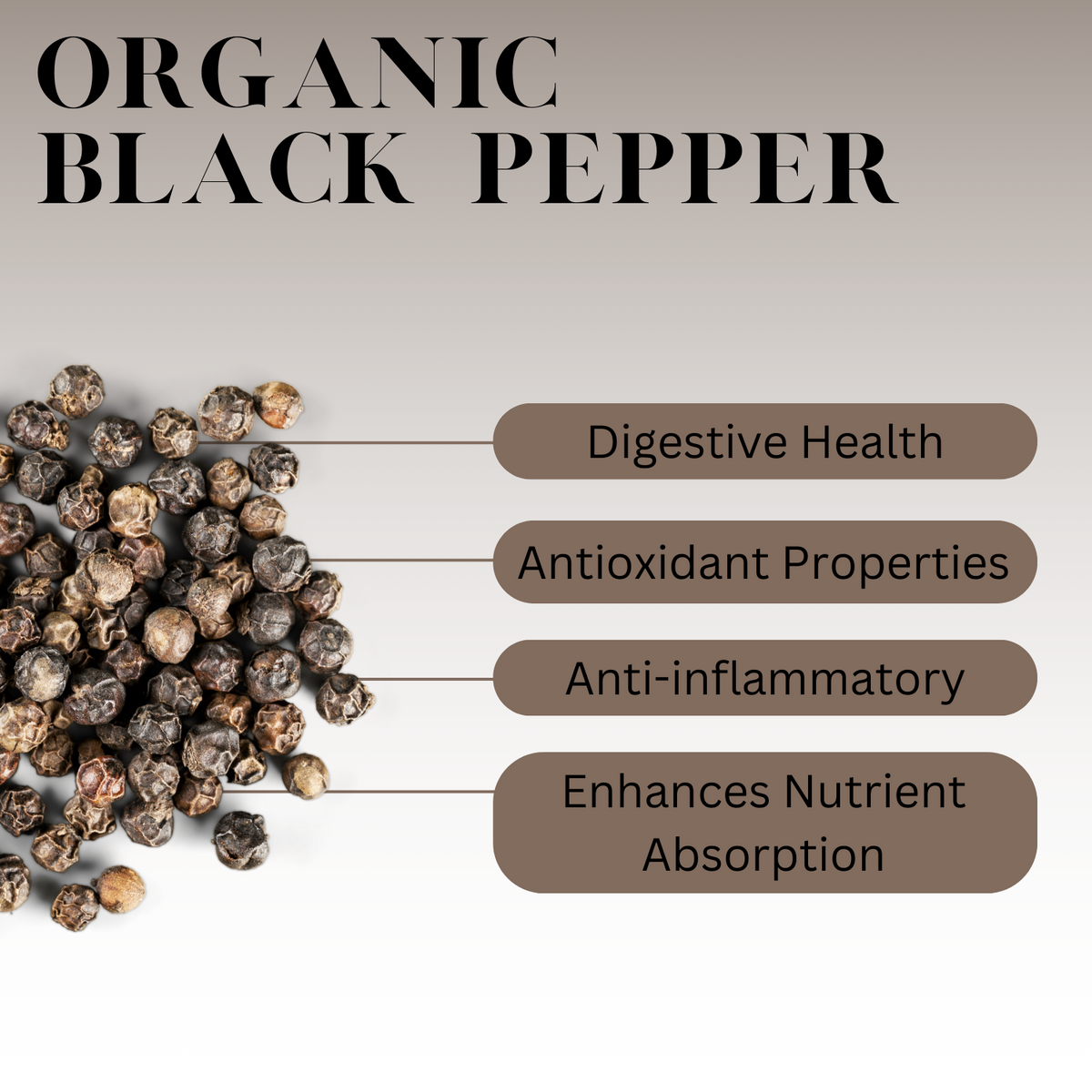 Infographic titled ‘Organic Black Pepper’ showing scattered black peppercorns on the left with labeled benefits on the right, including digestive health, antioxidant properties, anti-inflammatory effects, and enhanced nutrient absorption.