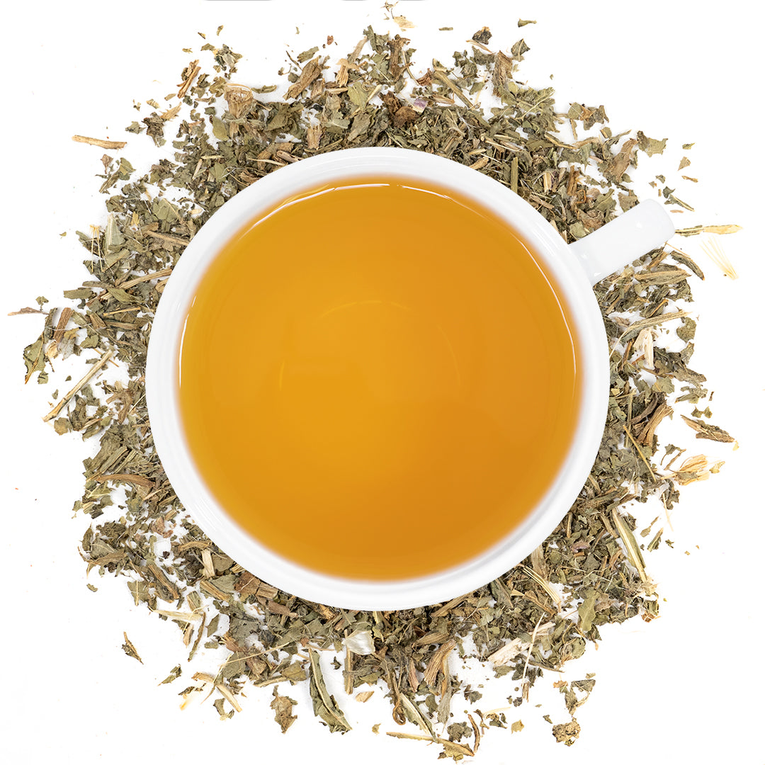 A white mug filled with blessed thistle tea surrounded by blessed thistle. 