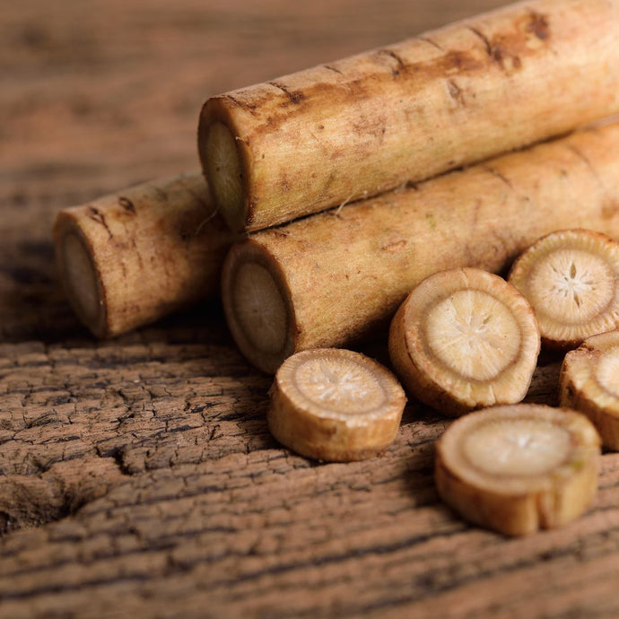 Close up photo of burdock root on a wooden surface. 