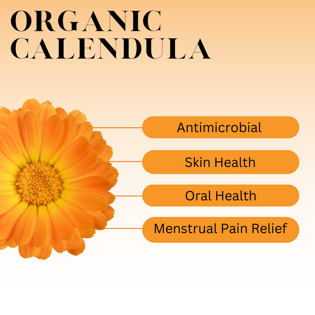 calendula chart.png__PID:70690e56-d362-4125-974d-a13e284f7dbc