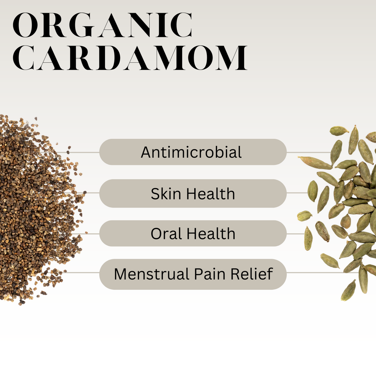 Infographic showing the benefits of organic cardamom with labels for antimicrobial, skin health, oral health, and menstrual pain relief.