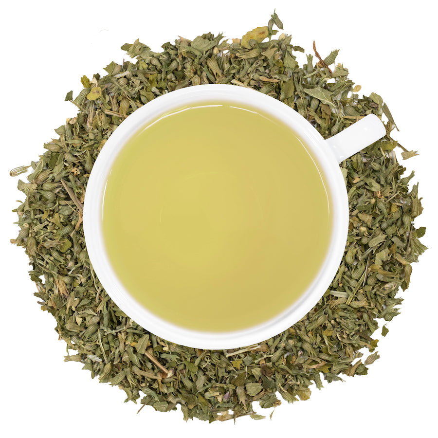 A white mug filled with catnip tea surrounded by catnip