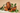 Chunks of chaga mushroom with rough brown outer texture and orange interior arranged with green leaves on a neutral background.