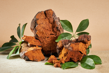 Chunks of chaga mushroom with rough brown outer texture and orange interior arranged with green leaves on a neutral background.