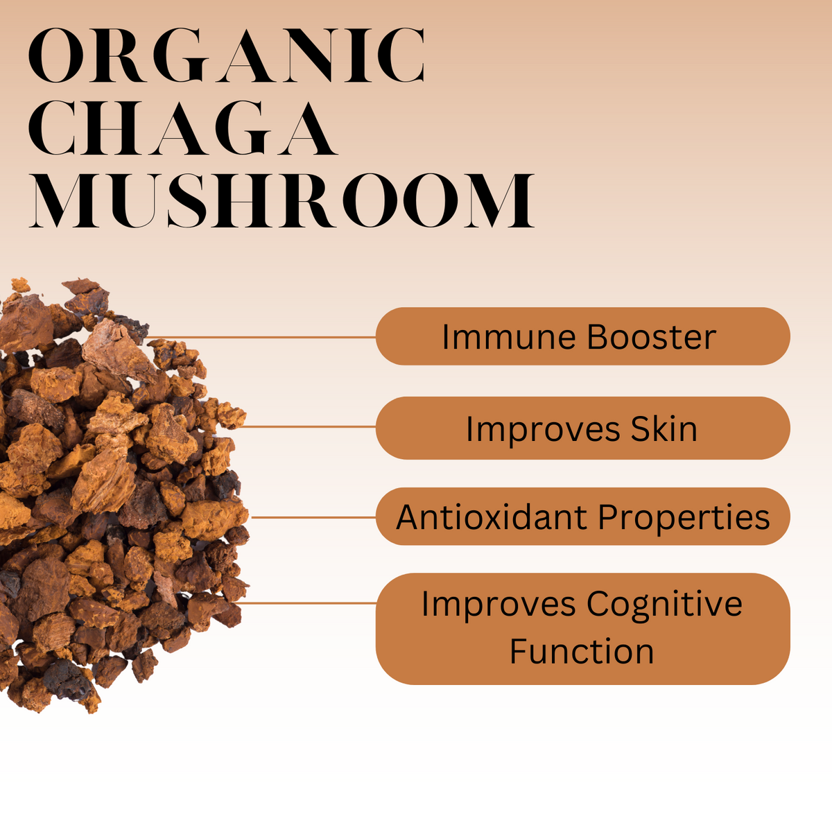 Infographic showing the benefits of organic chaga mushroom with labeled benefits: immune booster, improves skin, antioxidant properties, and improves cognitive function.