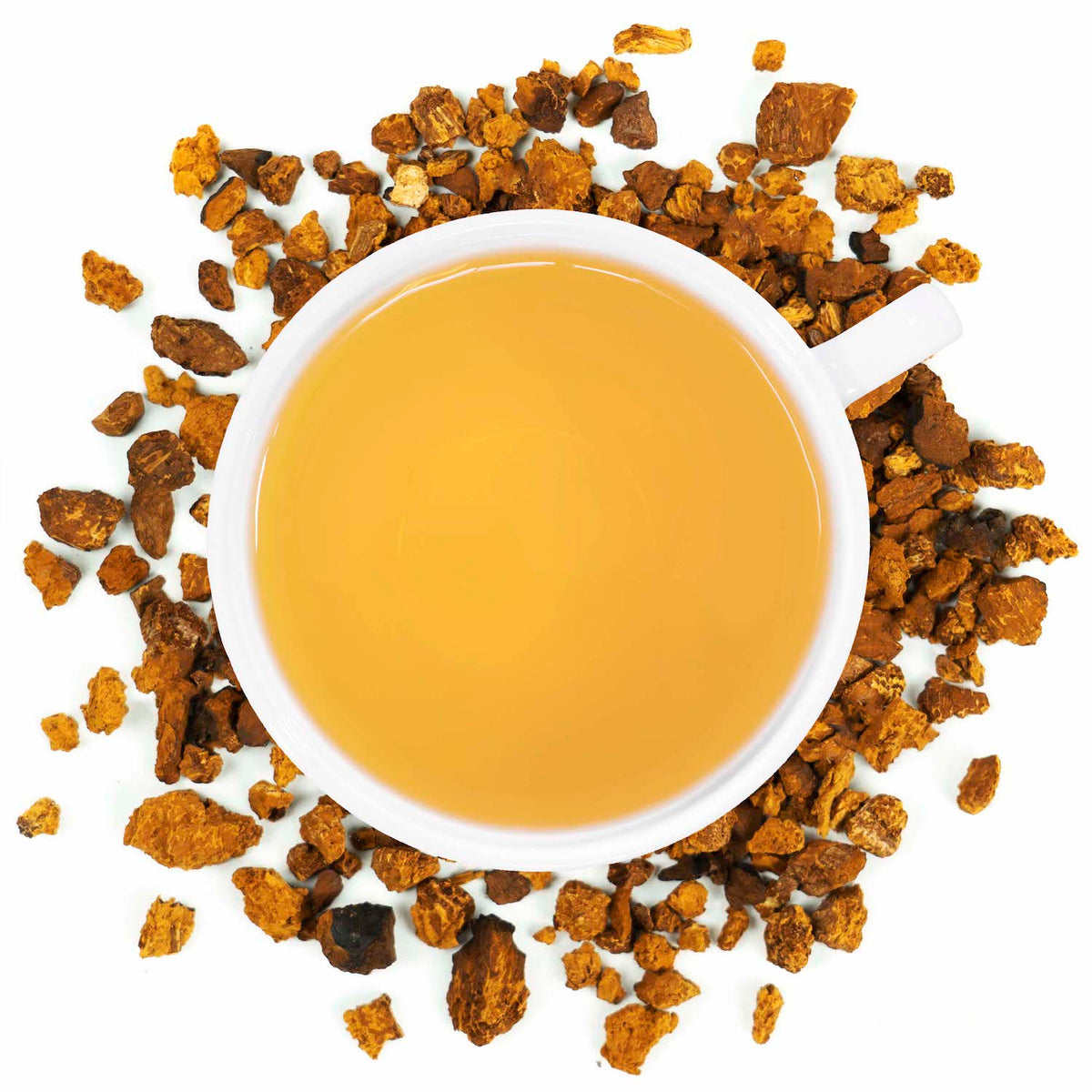 A white mug filled with chaga mushroom tea surrounded by chaga mushrooms