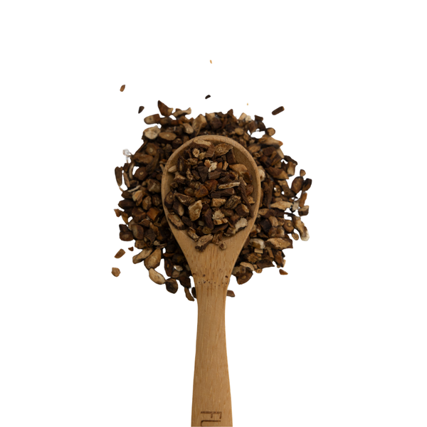 Wooden spoon filled with dried dandelion root on a white background