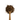 Wooden spoon filled with dried dandelion root on a white background
