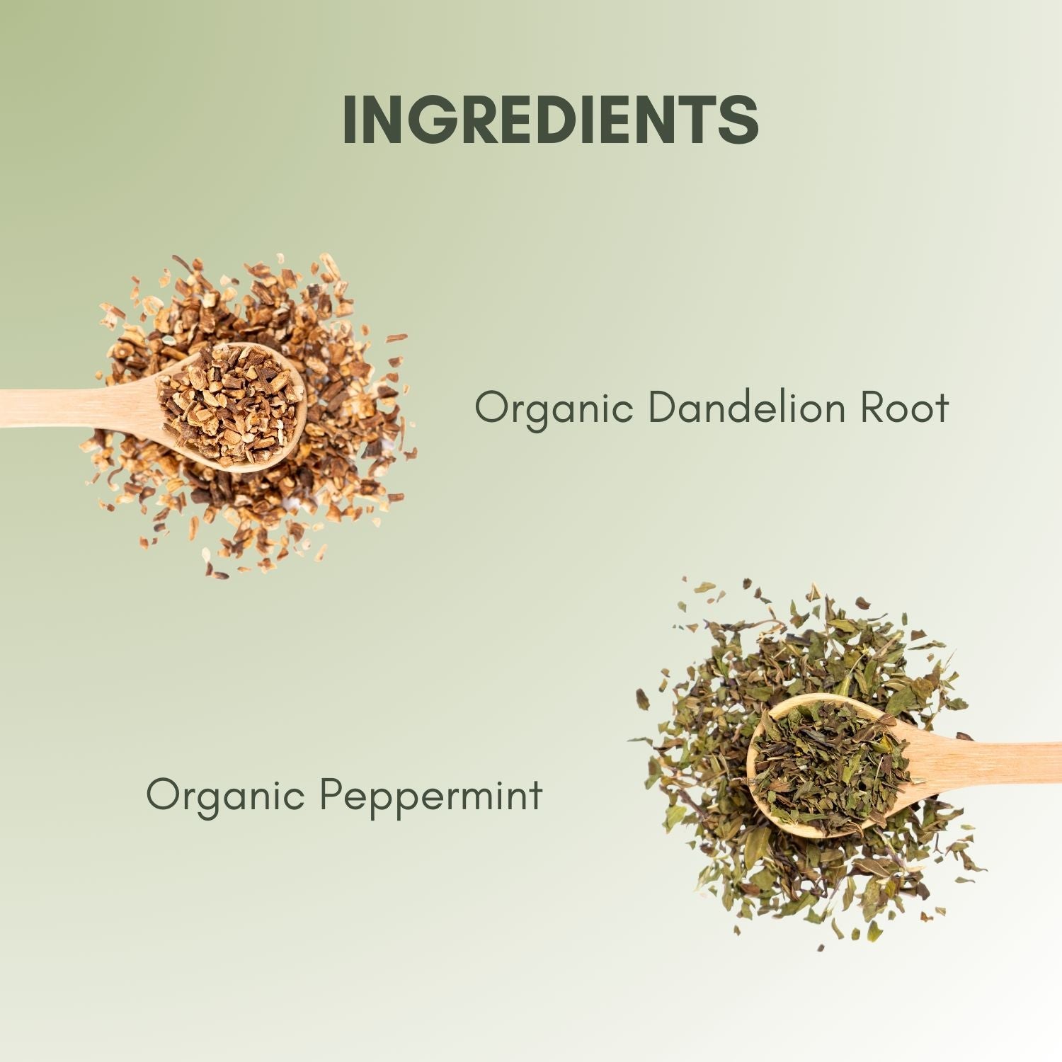 Organic Dandelion Tea-3