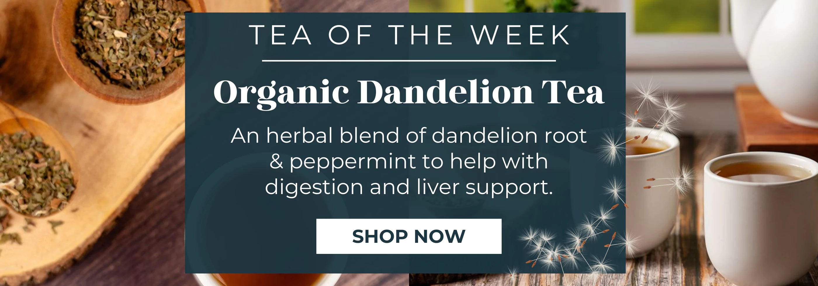 Tea of the Week - Organic Dandelion Tea
