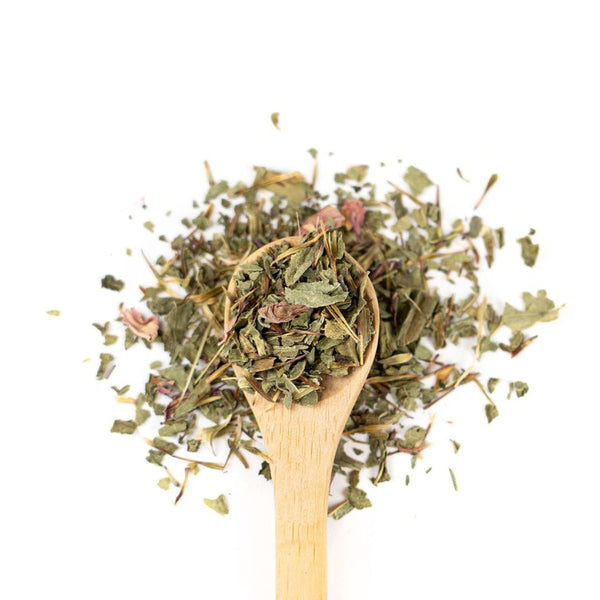 Organic Echinacea on a wooden spoon.