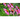 echinacea pic 2.png__PID:29ede973-f7a6-45dd-a55f-c799f6d65a4c