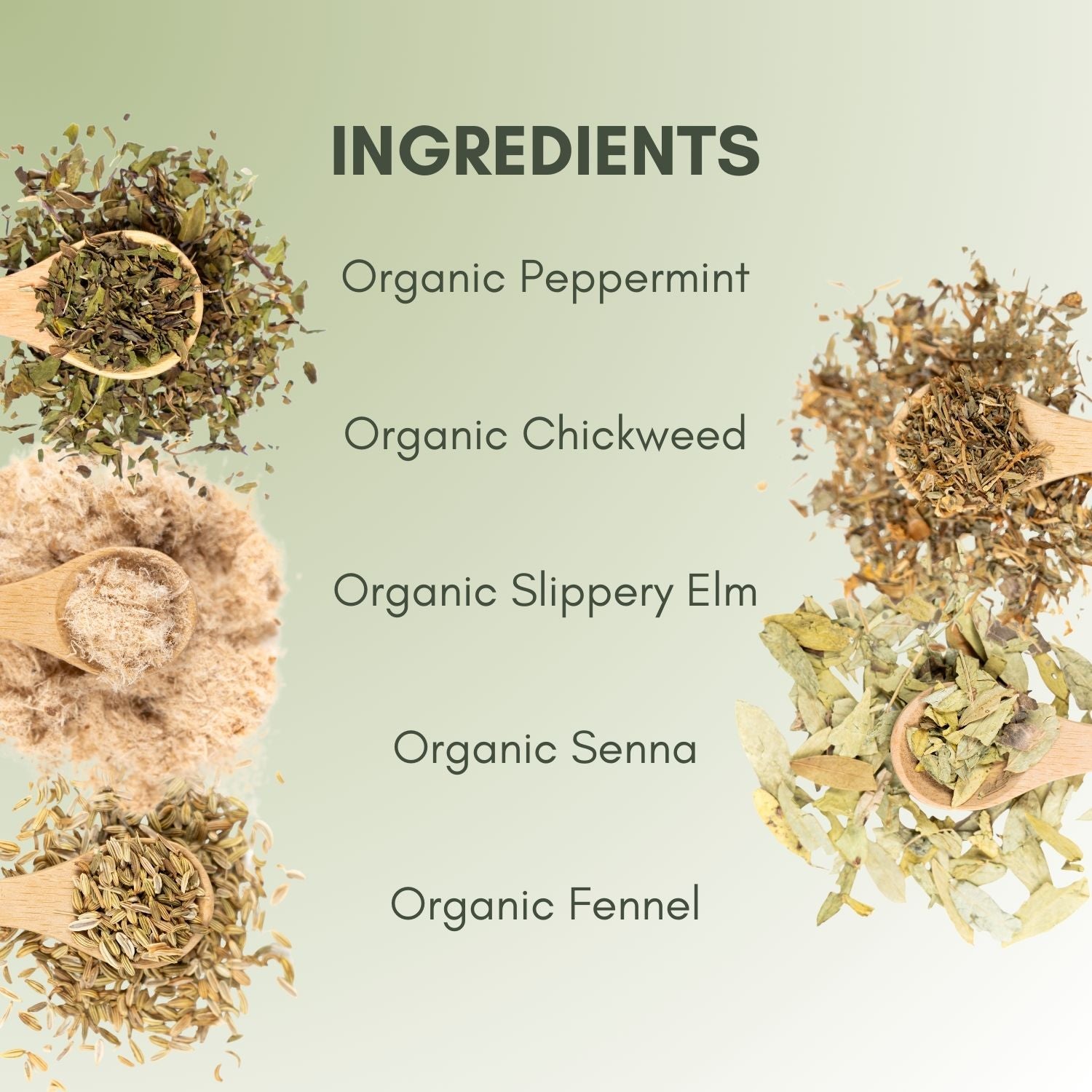 Organic Slippery Elm  Full Leaf Tea Company