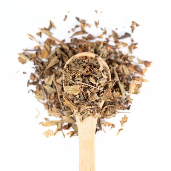 Organic Holy Basil on a wooden spoon.