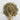 Wooden spoon filled with dried horsetail herbs on a white background