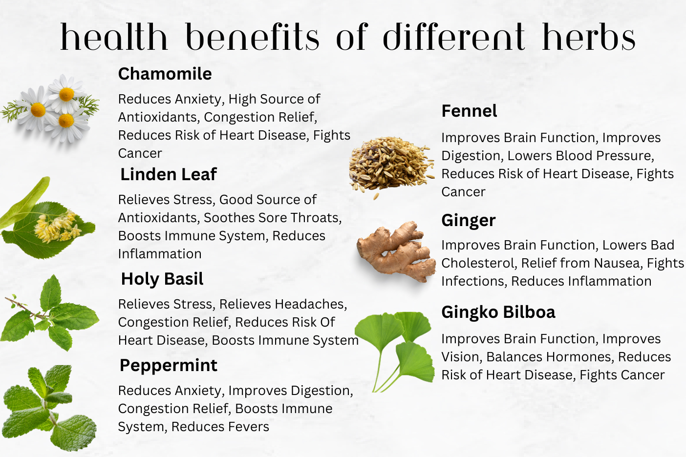 What is Herbal Tea? – Full Leaf Tea Company