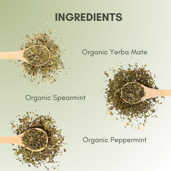 Organic Mint Yerba Mate - Loose Leaf Tea | Full Leaf Tea Company