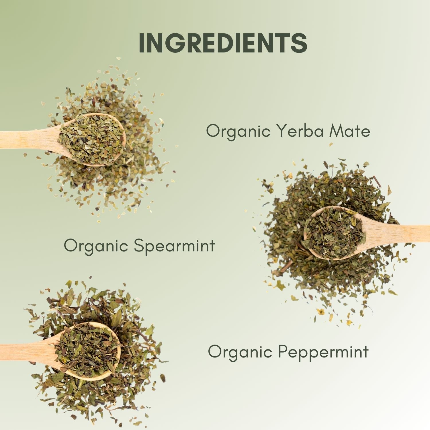 What is Organic Yerba Mate Tea: Benefits, Types and Recipes