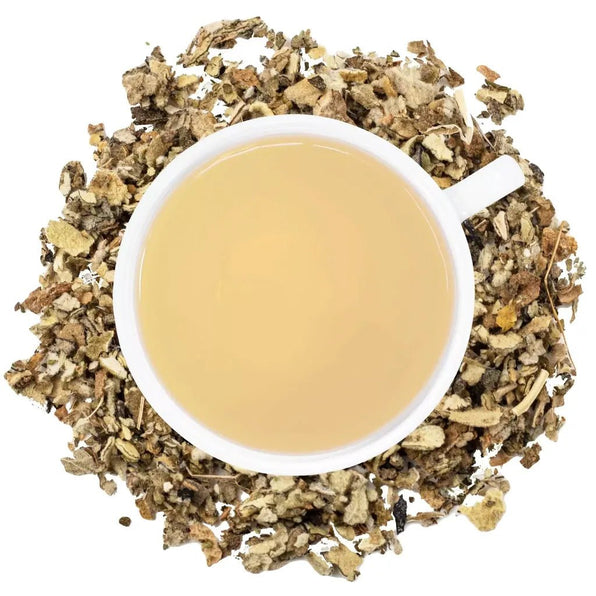 Cup of Organic Mullein Tea surrounded by loose dried Mullein leaves