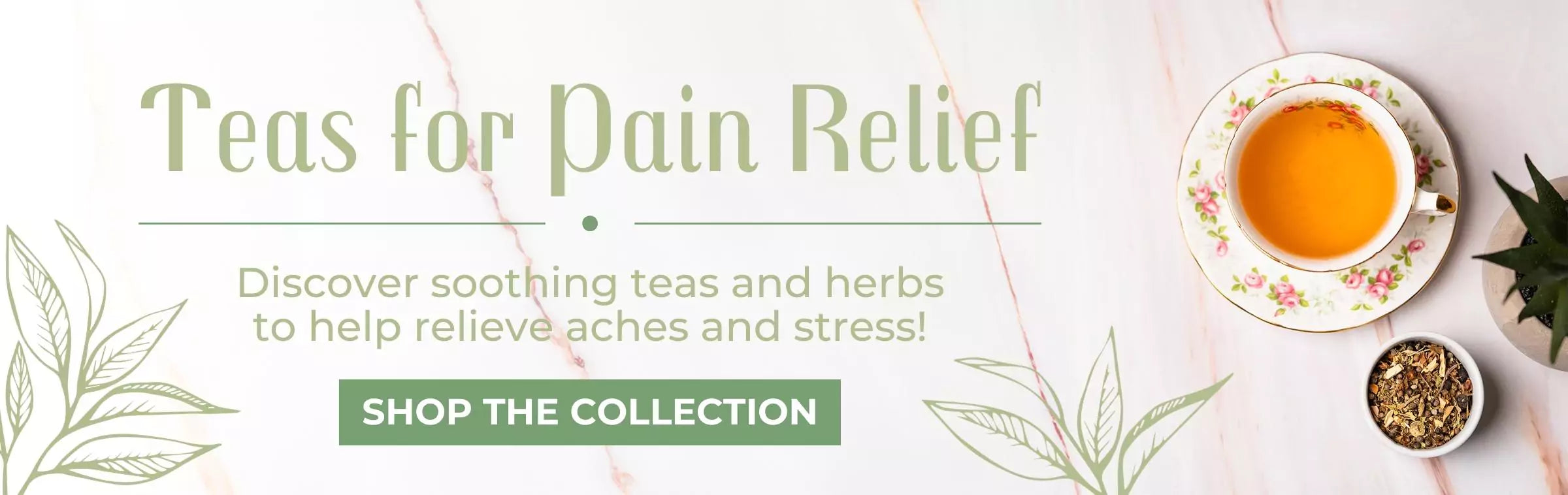 Teas for Pain Relief Banner - Teacup with Tea next to Ingredients