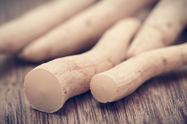 Close-up of fresh shatavari roots on a wooden surface, showing their smooth beige texture.