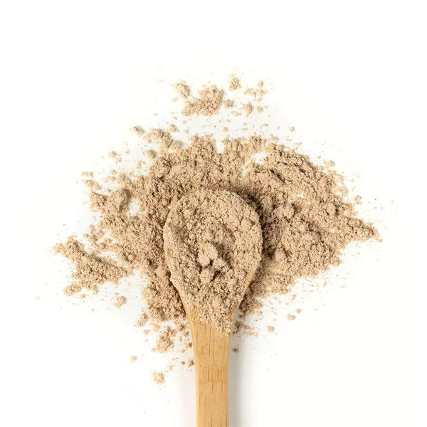 Wooden spoon of Organic Slippery Elm powder on a white background