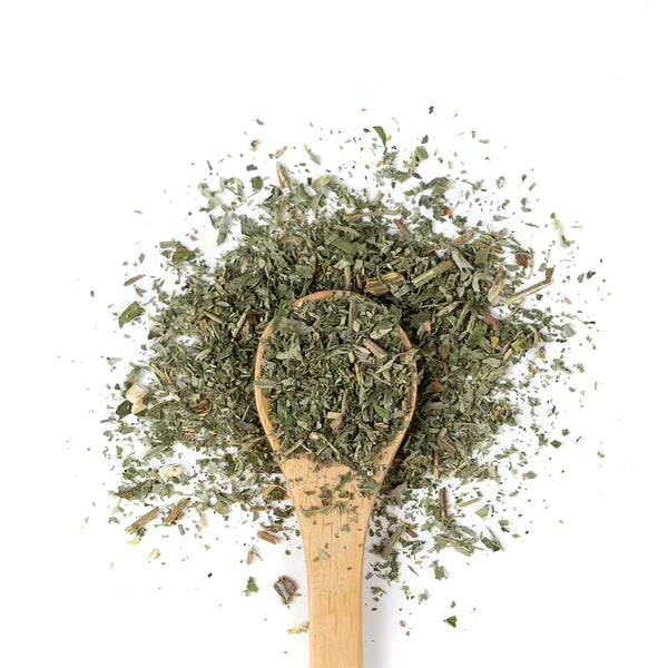 Wooden spoon of Organic Wormwood on a white background.